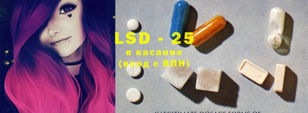 прущие грибы Абаза