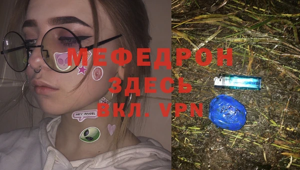 прущие грибы Абаза