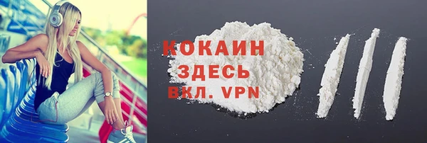 прущие грибы Абаза