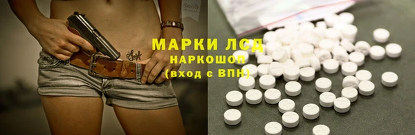 прущие грибы Абаза