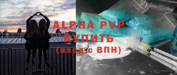прущие грибы Абаза