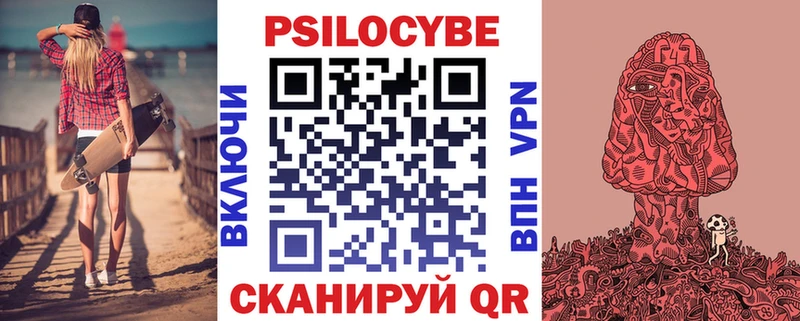 продажа наркотиков  Ладушкин  Псилоцибиновые грибы Psilocybine cubensis 